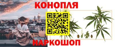 СК Лесосибирск