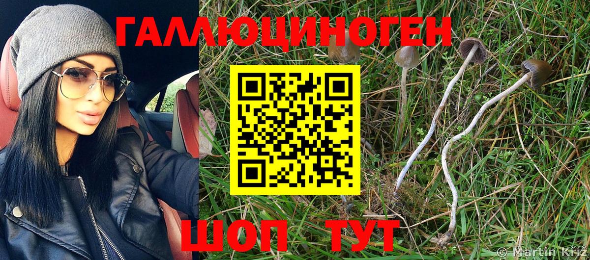 Галлюциногенные грибы Psilocybe Каменск-Уральский