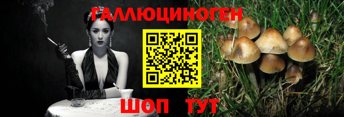 Каменск-Уральский  даркнет сайт  Вход с VPN  Галлюциногенные грибы мицелий 